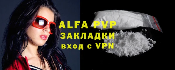 шишки Ладушкин