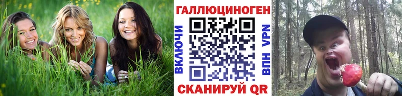 где купить наркоту  kraken tor  Галлюциногенные грибы MAGIC MUSHROOMS  Нытва 